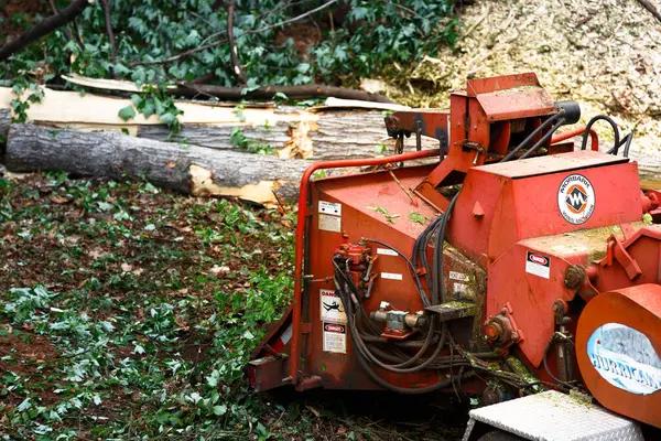 Professional Tree Removal Rockford Homeowners Rely On