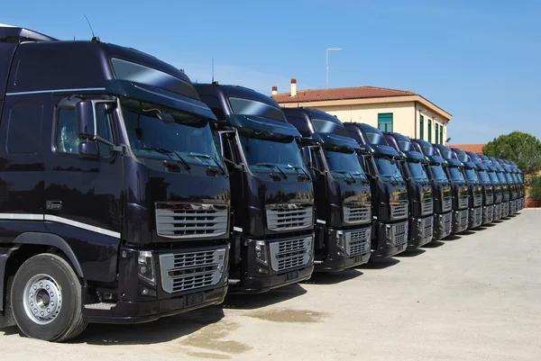 Key Services Offered by a Professional Toronto Trucking Company