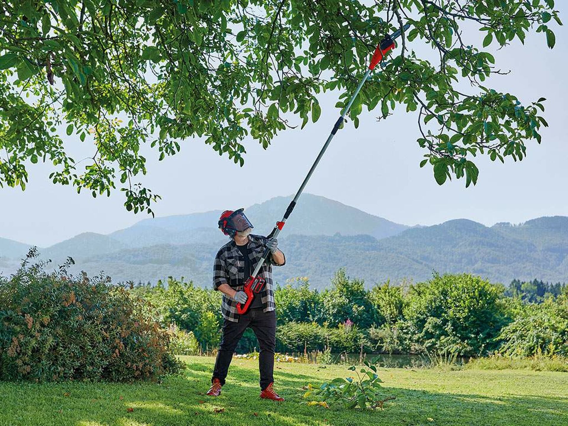 Dependable Tree Maintenance from tree surgeon Heald Green Near You